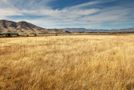 3166 Luggate-Cromwell Road, Queensberry, Central Otago, Central Otago / Lakes District