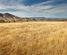 3166 Luggate-Cromwell Road, Queensberry, Central Otago, Central Otago / Lakes District