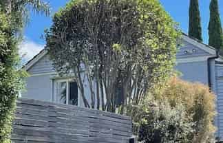 19 Paihia Road , Onehunga