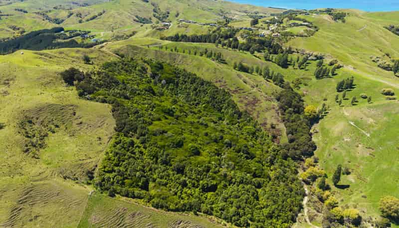 127 and 171 Darwin Road, Outer Kaiti