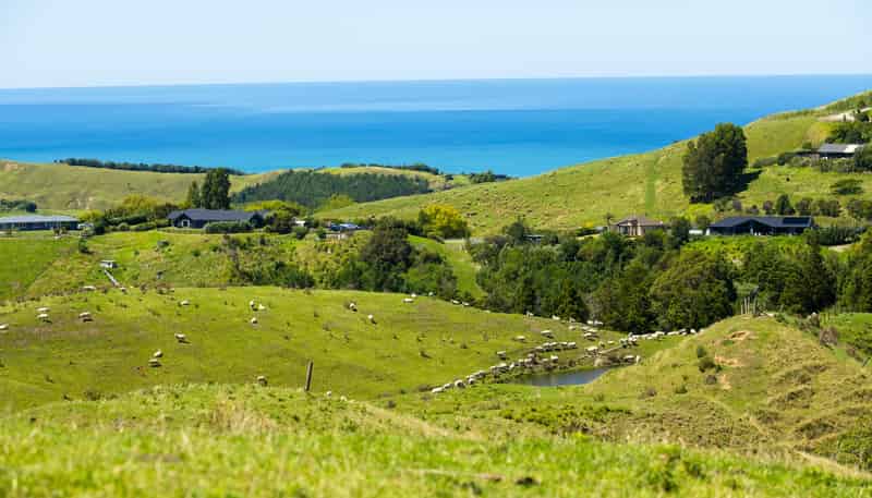  127 and 171 Darwin Road, Outer Kaiti