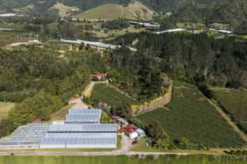 1164 No 3 Road, Te Puke