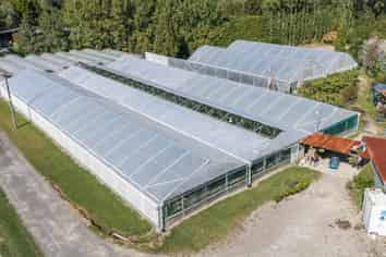 1164 No 3 Road, Te Puke