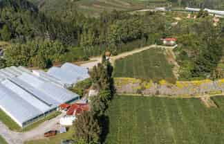 1164 No 3 Road, Te Puke