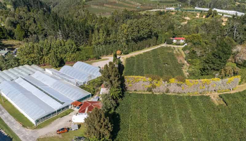 1164 No 3 Road, Te Puke