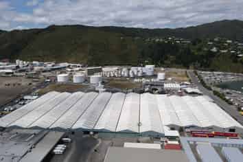 Rare Seaview Hub Vacancy