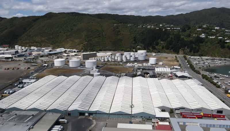 25 Toop Street, Seaview