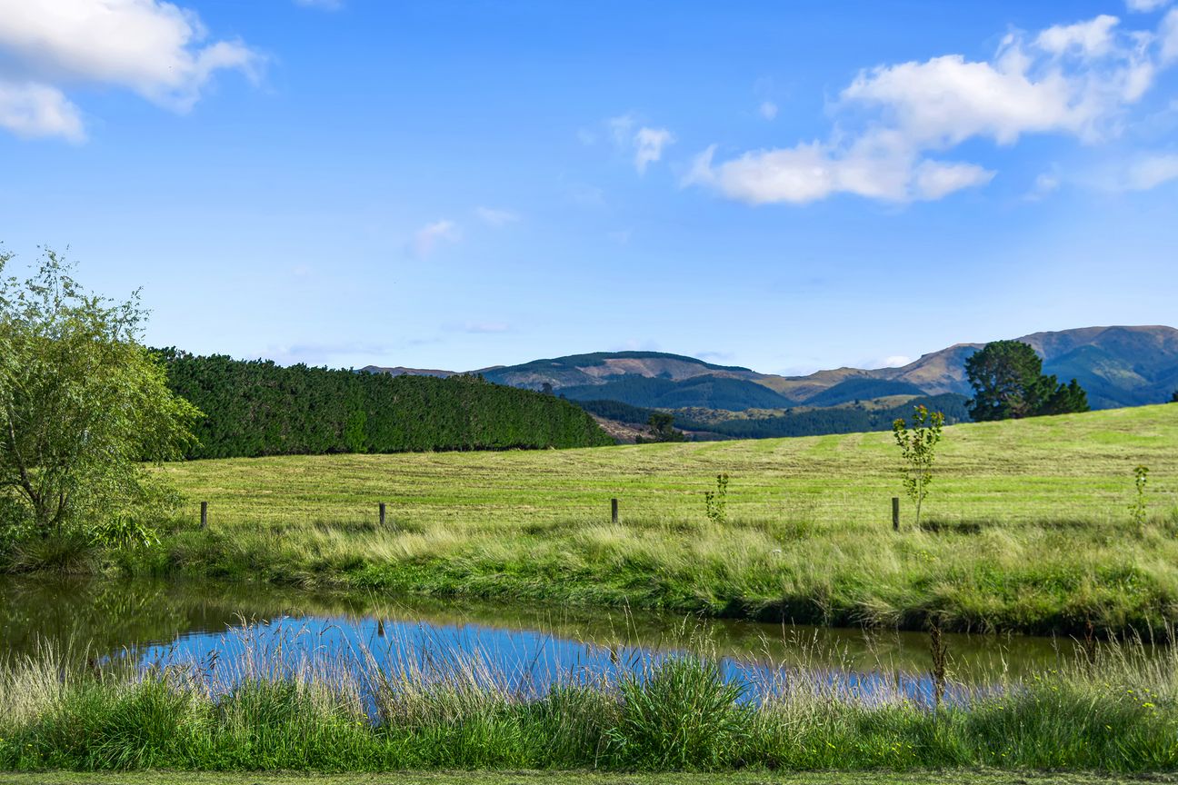 Your Slice of Loburn Countryside- Unbeatable Value - Bild 4