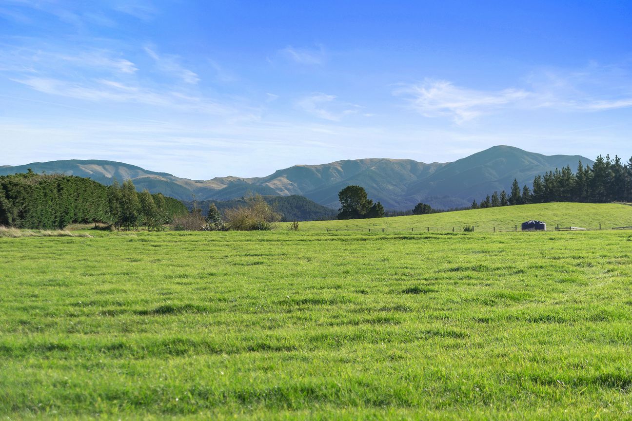 Your Slice of Loburn Countryside- Unbeatable Value - Fler