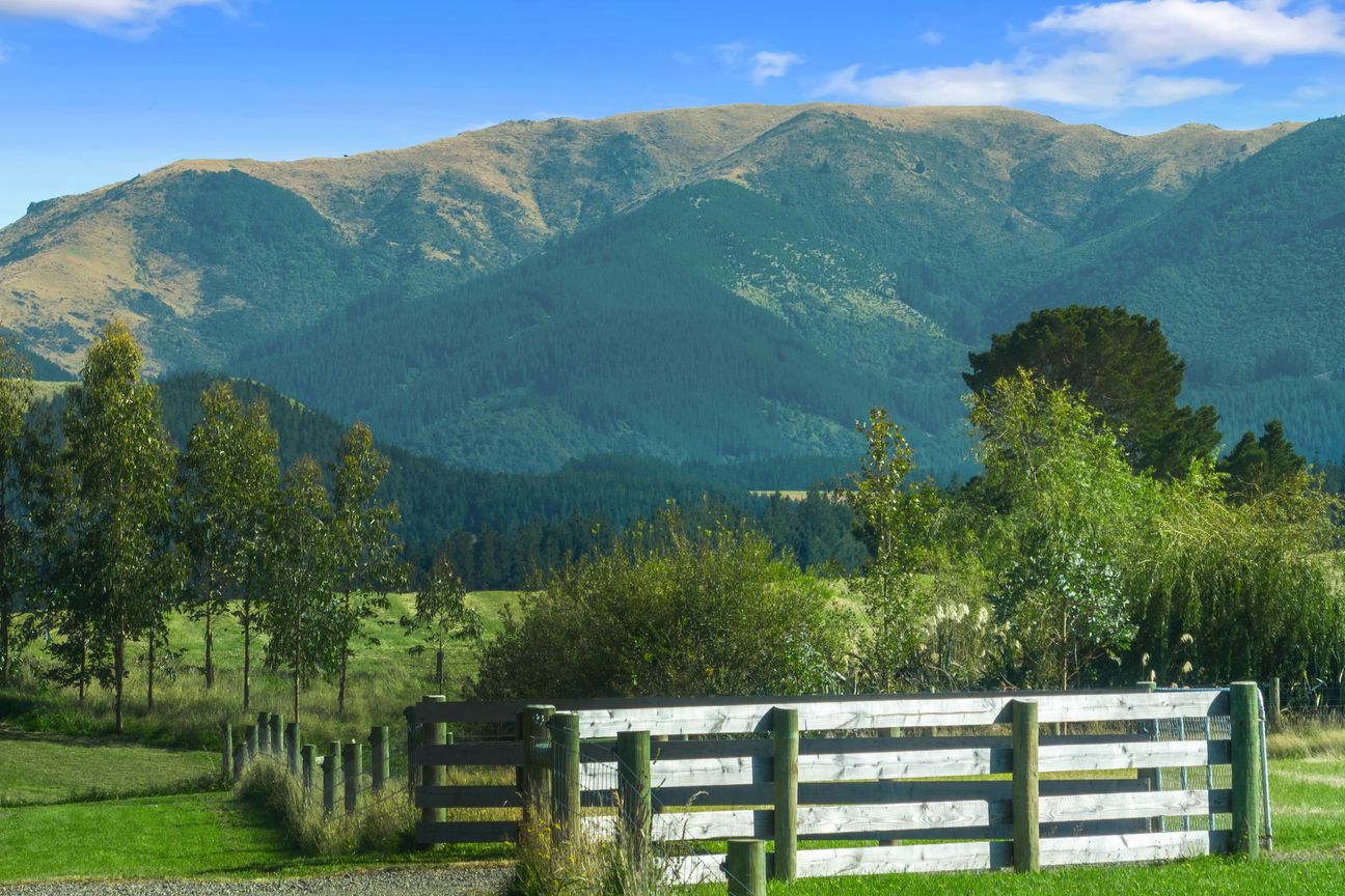 Your Slice of Loburn Countryside- Unbeatable Value - Bild 6