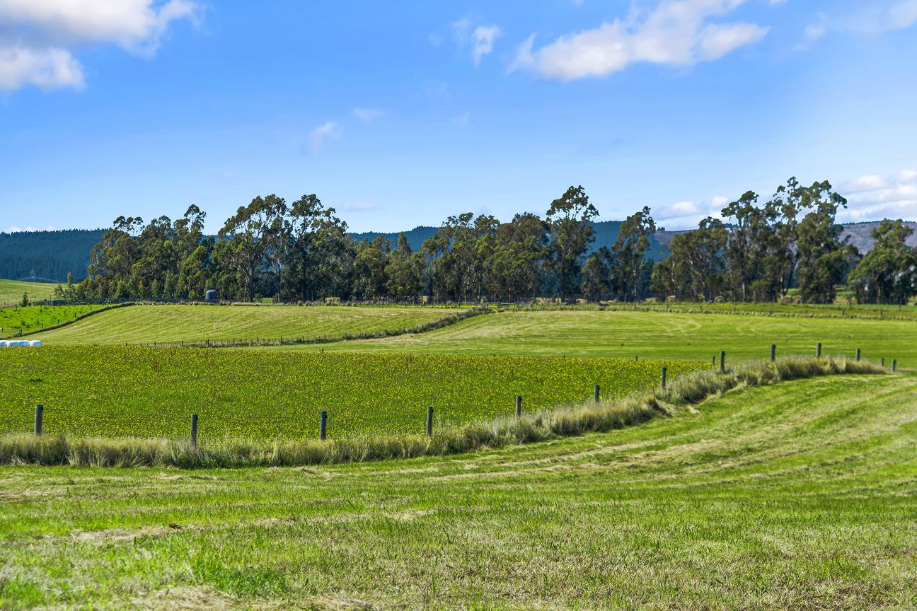 Your Slice of Loburn Countryside- Unbeatable Value - Bild 5