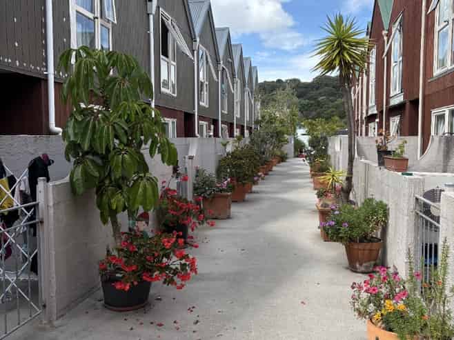 5a/66 Mount Eden Road, Mount Eden