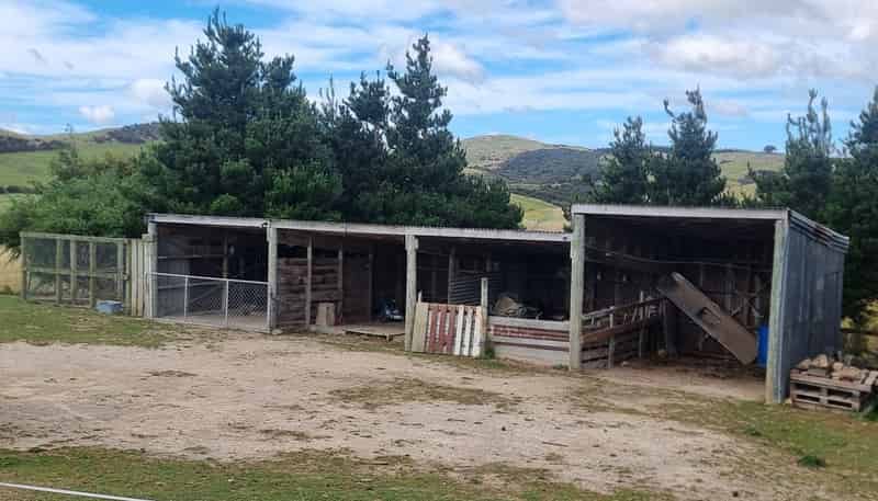 4820 Pahiatua Pongaroa Road, Pongaroa