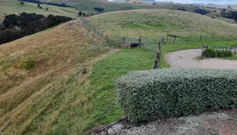 4820 Pahiatua Pongaroa Road, Pongaroa