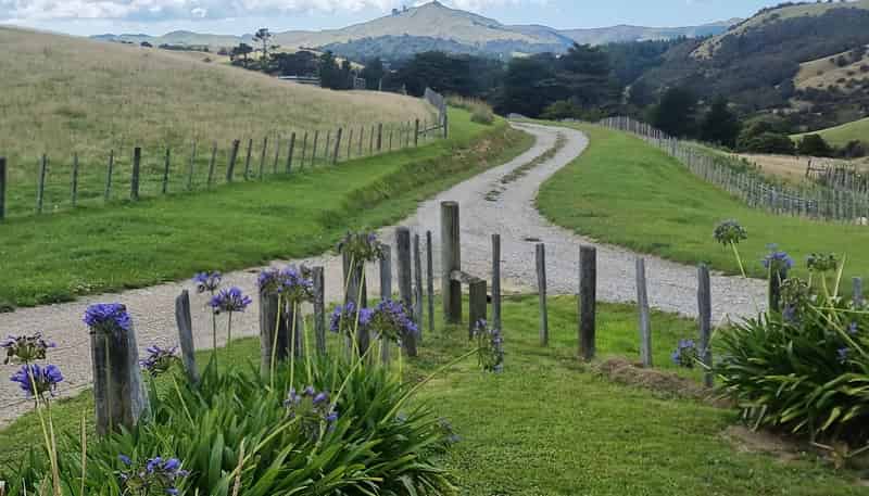 4820 Pahiatua Pongaroa Road, Pongaroa