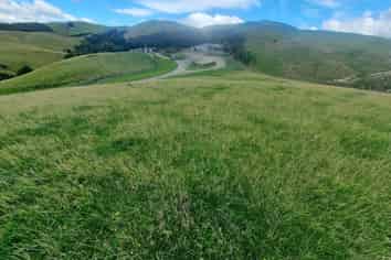 4820 Pahiatua Pongaroa Road, Pongaroa
