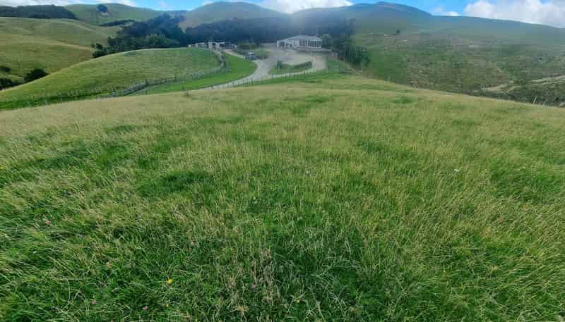 4820 Pahiatua Pongaroa Road, Pongaroa