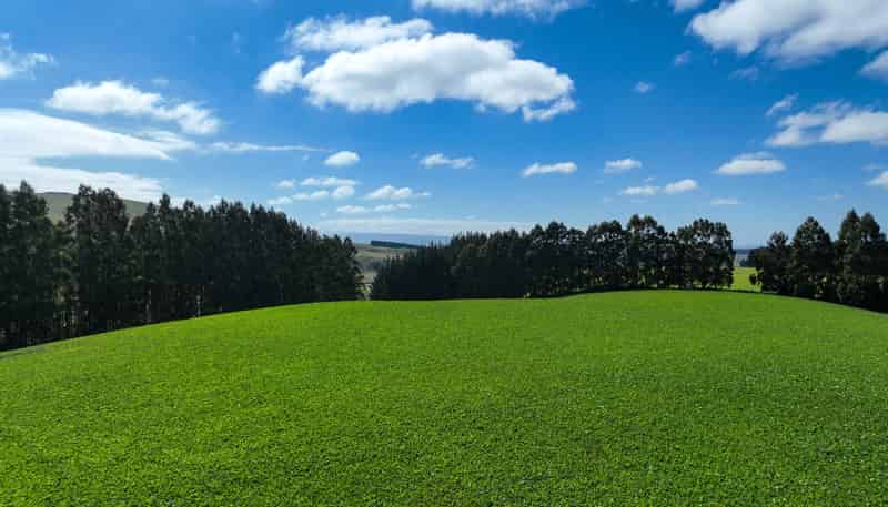 125 Tomogalak Road, Ardlussa