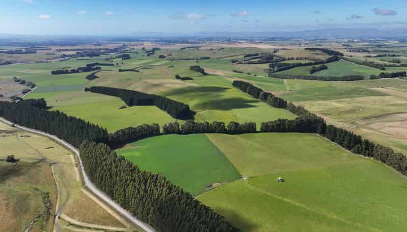 125 Tomogalak Road, Ardlussa