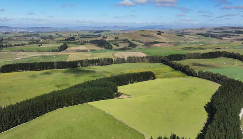 125 Tomogalak Road, Ardlussa