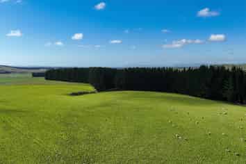 125 Tomogalak Road, Ardlussa