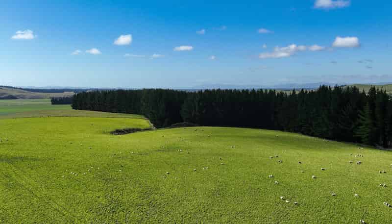 125 Tomogalak Road, Ardlussa