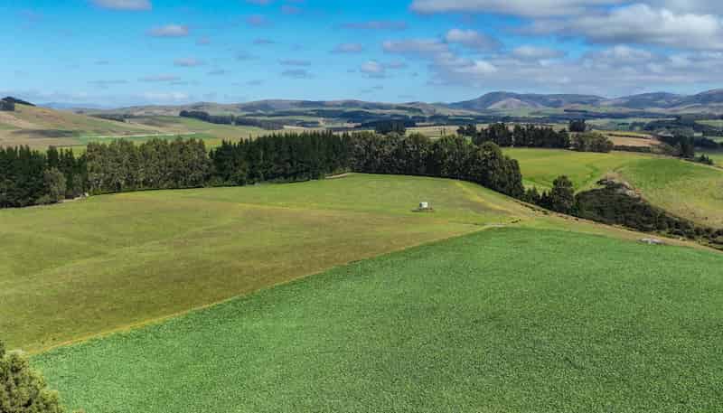 125 Tomogalak Road, Ardlussa