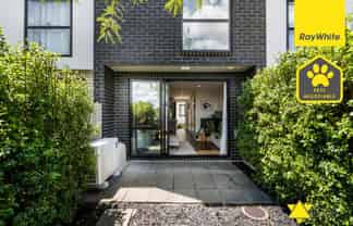 8 Tokai Place, Glen Eden