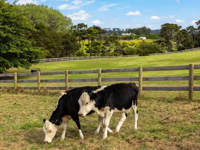 41 Berenice Lane, Riverhead