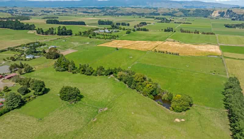 2054 Kimbolton Road, Kiwitea