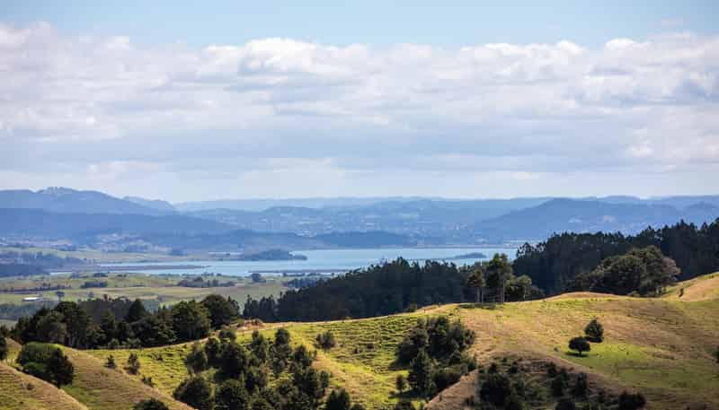 Lot 3 and 4, 602 Ormiston Road, Waipu