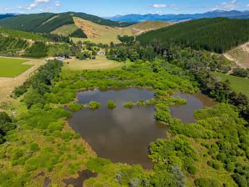 1081 State Highway 63, Renwick