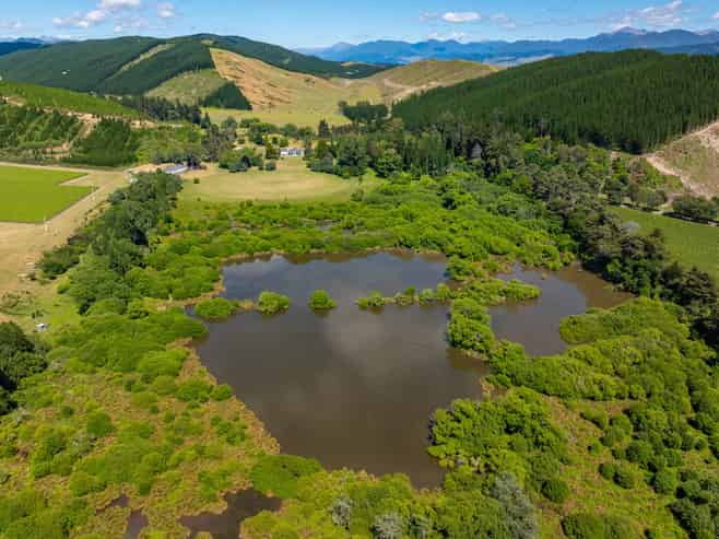 1081 State Highway 63, Wairau Valley