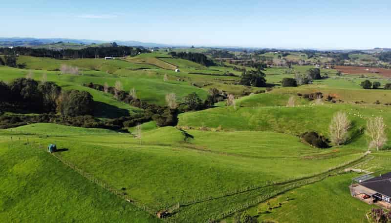 336 Dominion Road, Tuakau