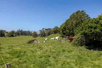 61 Church Road, Dannevirke