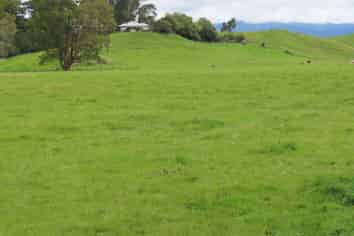61 Church Road, Dannevirke