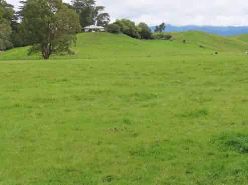 61 Church Road, Ormondville