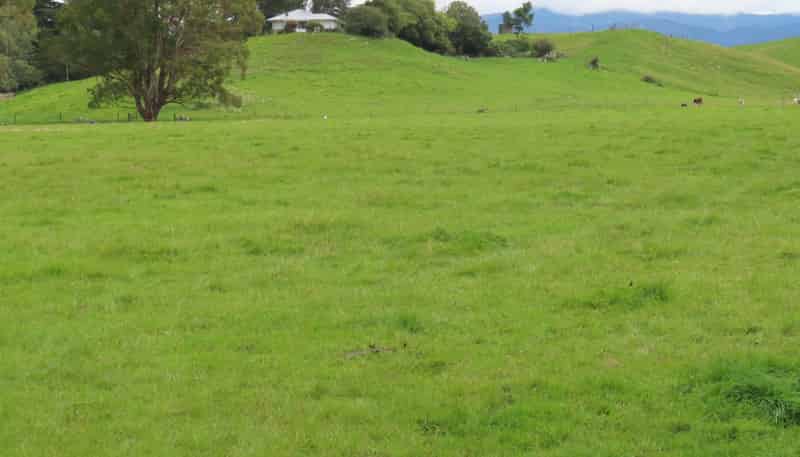 61 Church Road, Dannevirke