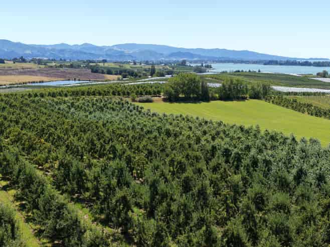 Lot 1/86 Eden Road, Tasman