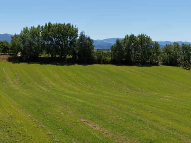 Lot 1/86 Eden Road, Tasman