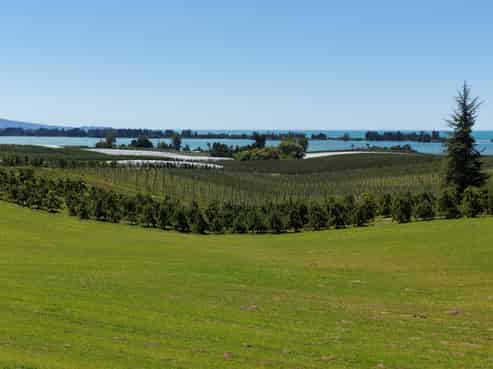 Lot 1/86 Eden Road, Tasman