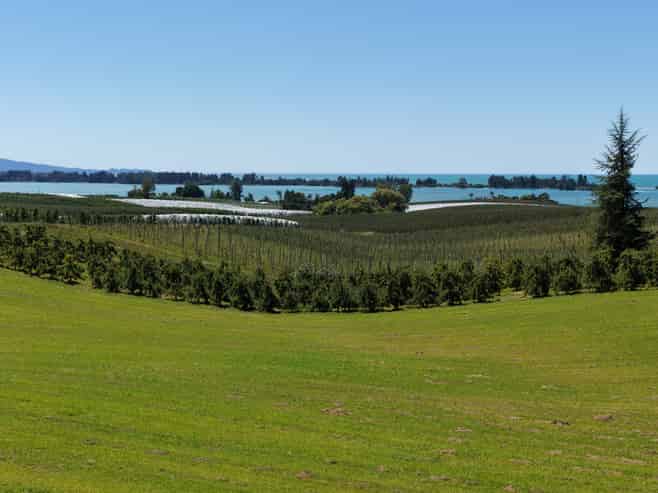 Lot 1/86 Eden Road, Tasman