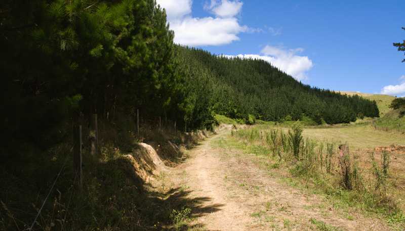 1/461 Otamarakau Valley Road, Pukehina