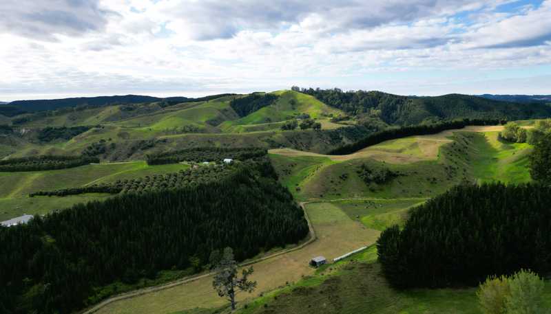 1/461 Otamarakau Valley Road, Pukehina