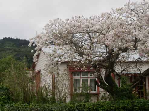 51 Wakefield Street, Featherston