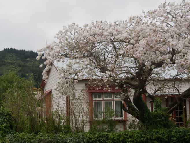 51 Wakefield Street, Featherston