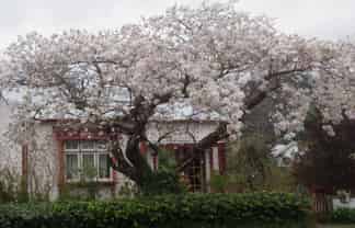 51 Wakefield Street, Featherston