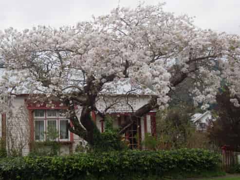 51 Wakefield Street, Featherston