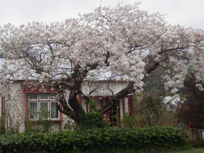 51 Wakefield Street, Featherston