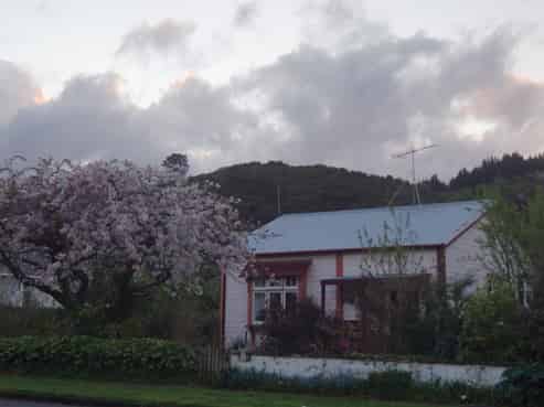 51 Wakefield Street, Featherston